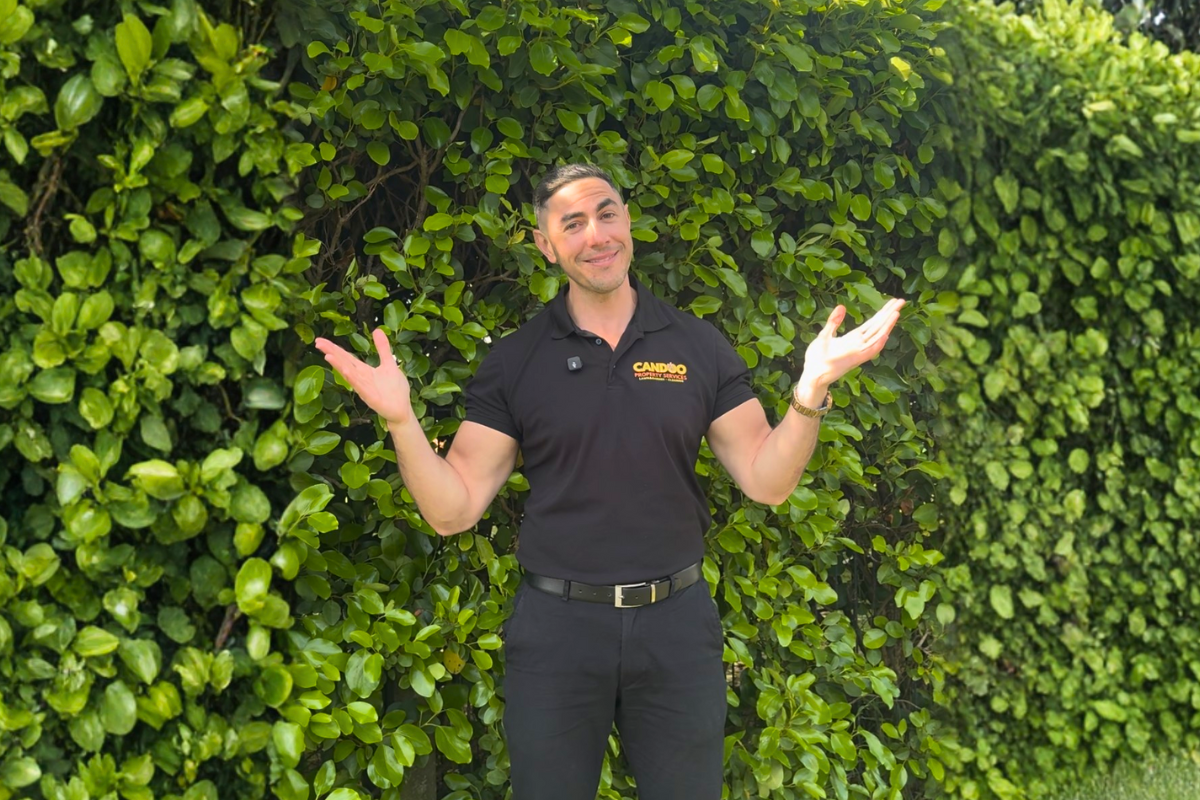 CDG Announcement - Blog Cover