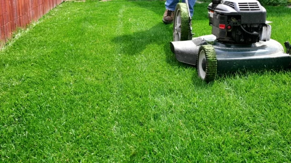 Lawn & Garden Businesses