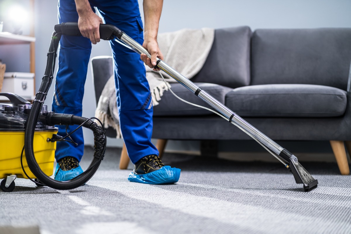 Cleaning in South Auckland Cleaning in South Auckland